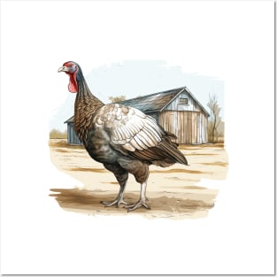 Farm Turkey Posters and Art